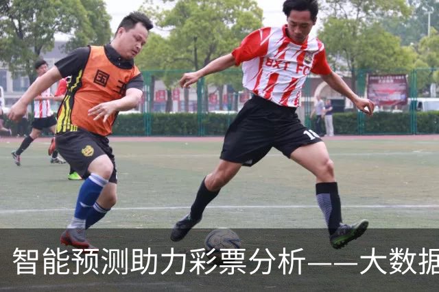 智能预测助力彩票分析——大数据的魅力
